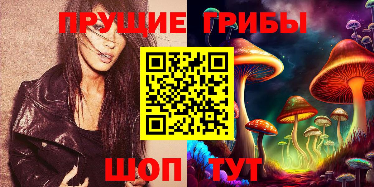 Бийск  Галлюциногенные грибы GOLDEN TEACHER  Вход с VPN  Псилоцибиновые грибы прущие грибы 