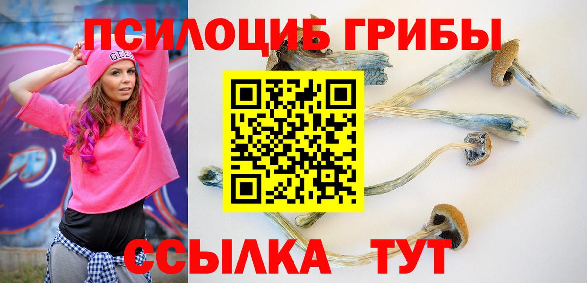 Псилоцибиновые грибы мицелий Бийск